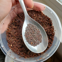 Load image into Gallery viewer, Microgreens Mini Grow Kit