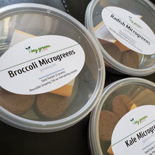 Load image into Gallery viewer, Microgreens Mini Grow Kit