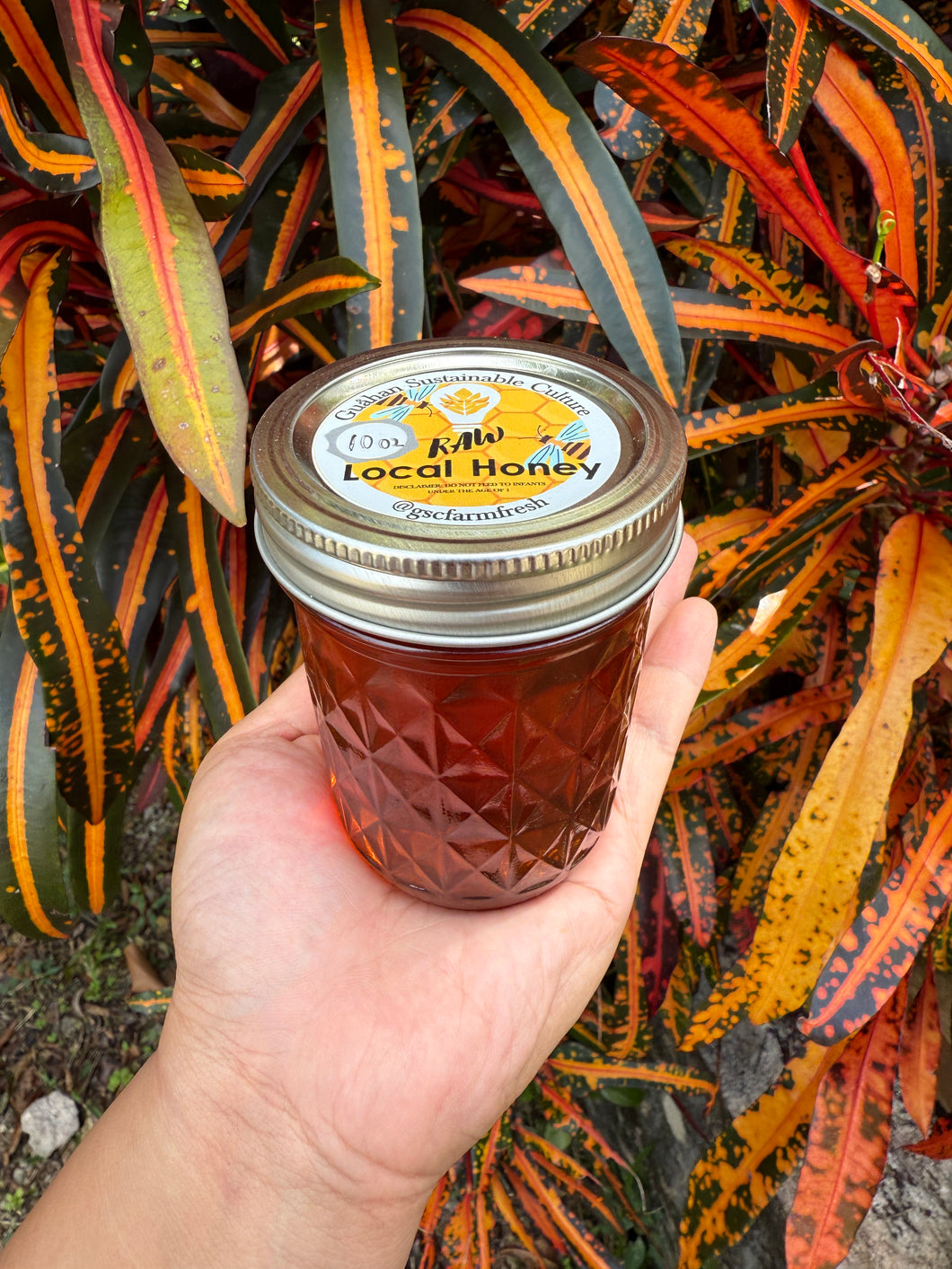 GSC Raw Local Honey 10oz